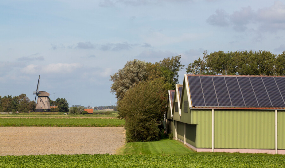 Woningen op agrarische percelen